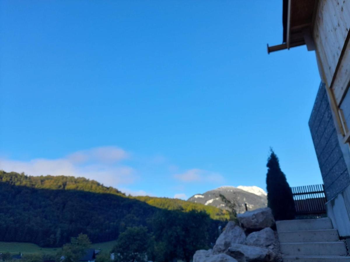 Auszeit Am Weinbuehel Apartment Bad Ischl Exterior photo